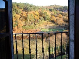 Vista_desde_mi_habitacion