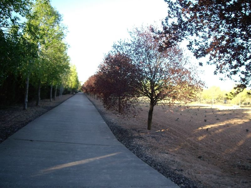 IMGP2009.JPG