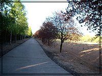 IMGP2009.JPG