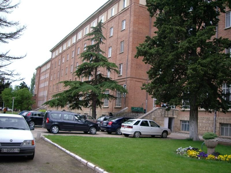 IMGP2153.JPG