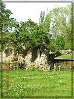DSCN2196_Acueducto1.JPG