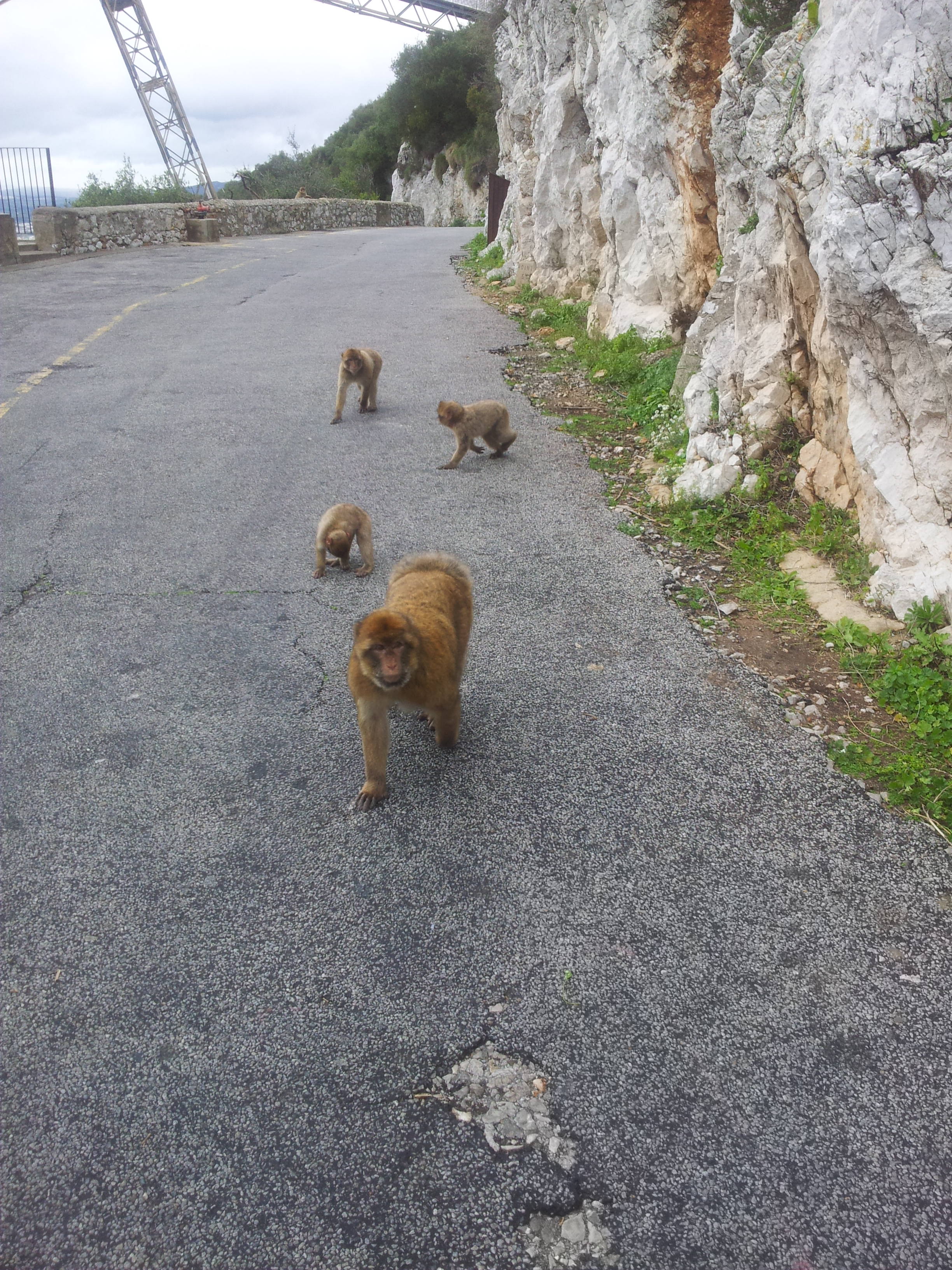 04 Paseando por la carretera.jpg