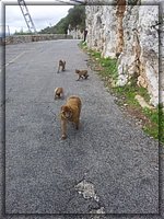 04 Paseando por la carretera.jpg